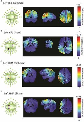 HD-tDCS of primary and higher-order motor cortex affects action word processing